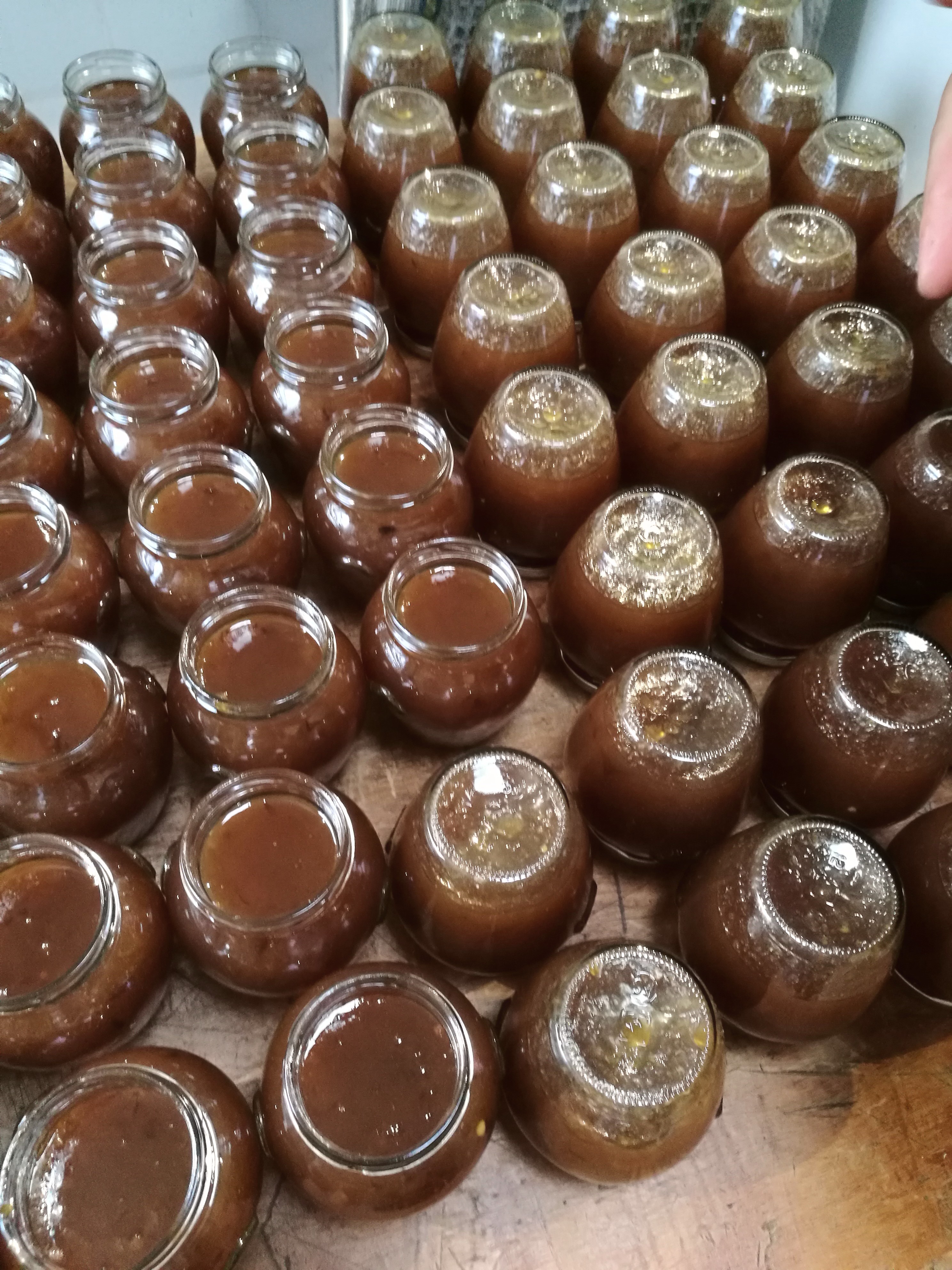 Preparation des gourmandise de l ours avant sterilisation