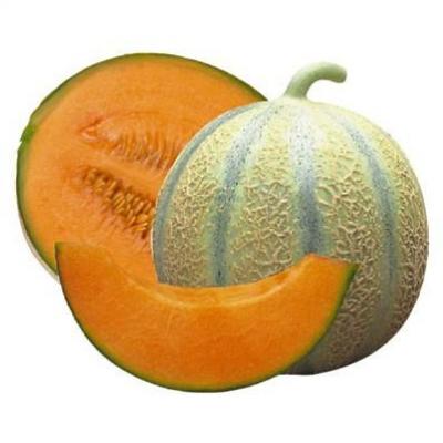 Melon charentais pour rhum arrange