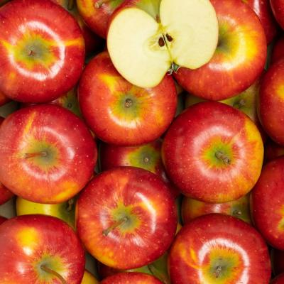 Pomme pirouette pour rhum arrange
